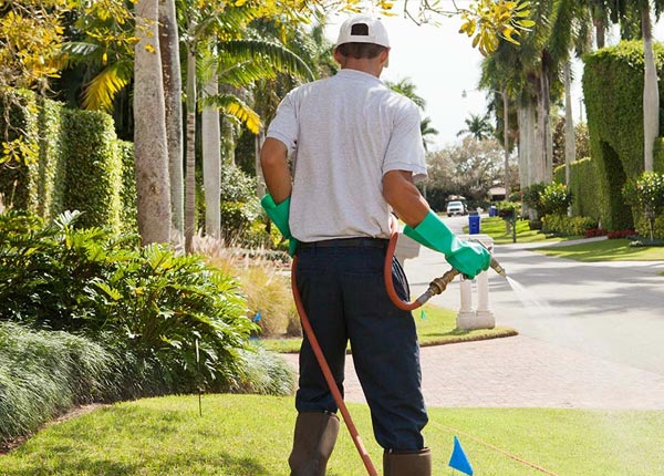 About Cresco IA Pest Control